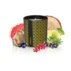 Paradise Lost - Luxury Scented Candle - 8oz